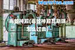 毒蛇殿(毒蛇殿瓦斯琪怎么过去)