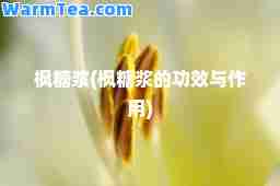 枫糖浆(枫糖浆的功效与作用)