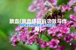 放血(放血拔罐的功效与作用)