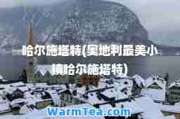哈尔施塔特(奥地利最美小镇哈尔施塔特)