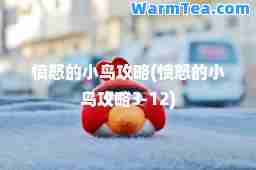 愤怒的小鸟攻略(愤怒的小鸟攻略3-12)
