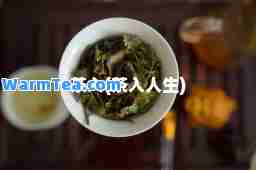 茶入(茶入人生)
