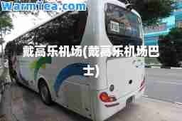 戴高乐机场(戴高乐机场巴士)