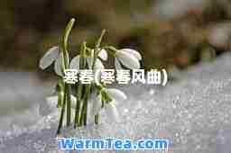 寒春(寒春风曲)