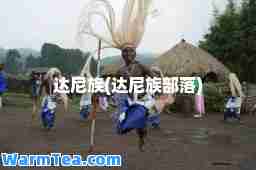 达尼族(达尼族部落)