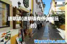 道明镇(道明镇有什么好玩的)