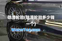 防滑轮胎(防滑轮胎多少钱一个)