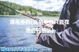 海龟垂钓(海龟垂钓只能在渔点钓鱼么)