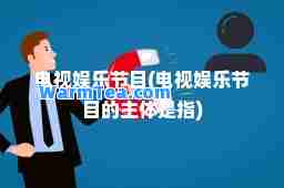 电视娱乐节目(电视娱乐节目的主体是指)