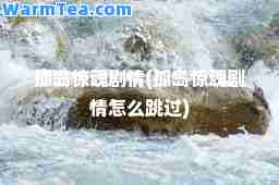 孤岛惊魂剧情(孤岛惊魂剧情怎么跳过)