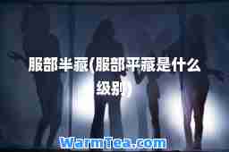 服部半藏(服部平藏是什么级别)