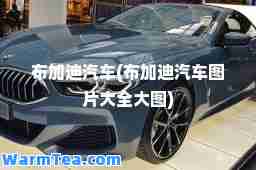 布加迪汽车(布加迪汽车图片大全大图)