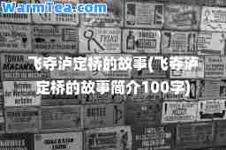 飞夺泸定桥的故事(飞夺泸定桥的故事简介100字)