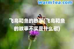 飞鸟和鱼的故事(飞鸟和鱼的故事不实是什么歌)