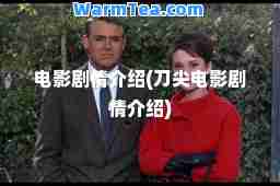 电影剧情介绍(刀尖电影剧情介绍)