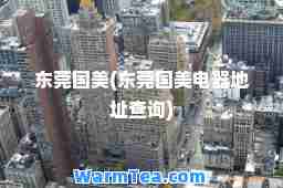 东莞国美(东莞国美电器地址查询)