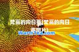 梵高的向日葵(梵高的向日葵图片)