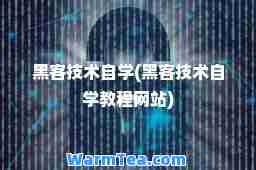 黑客技术自学(黑客技术自学教程网站)