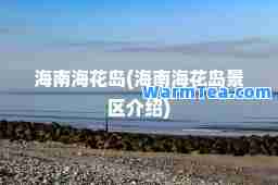 海南海花岛(海南海花岛景区介绍)