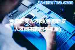 肥新安人才网(肥新安人才网招聘网手机版)