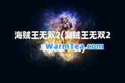 海贼王2(海贼王2手机版下载)