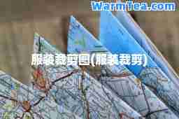 服装裁剪图(服装裁剪)