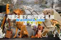 河童之夏下载(河童之夏 国语 下载)