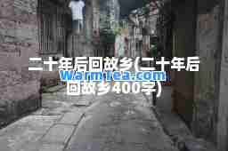 二十年后回故乡(二十年后回故乡400字)