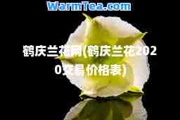 鹤庆兰花网(鹤庆兰花2020交易价格表)