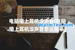 电脑插上耳机没声音(电脑插上耳机没声音怎么回事)