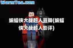 蝙蝠侠大战超人豆瓣(蝙蝠侠大战超人影评)
