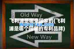 飞利浦是哪个国家的(飞利浦是哪个国家的专利品牌)