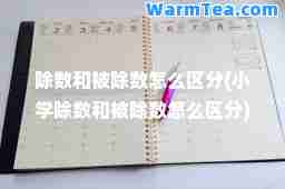 除数和被除数怎么区分(小学除数和被除数怎么区分)