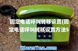 固定电话呼叫转移设置(固定电话呼叫转移设置方法57)