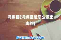 海绵套(海绵套是怎么做出来的)