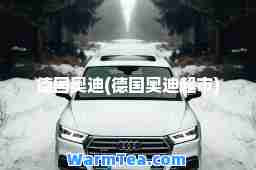 德国奥迪(德国奥迪超市)