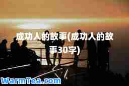 成功人的故事(成功人的故事30字)