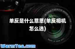 单反是什么意思(单反相机怎么选)