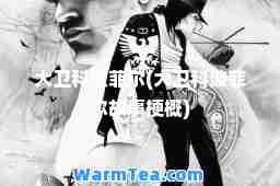 大卫科波菲尔(大卫科波菲尔故事梗概)