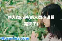 感人微小说(感人微小说看完哭了)