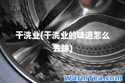 干洗业(干洗业的味道怎么去除)