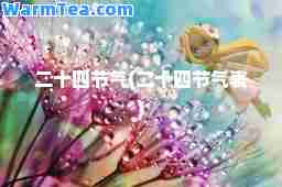 二十四节气(二十四节气表)