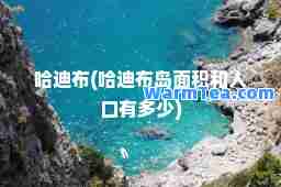 哈迪布(哈迪布岛面积和人口有多少)