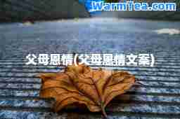 父母恩情(父母恩情文案)