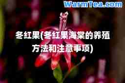 冬红果(冬红果海棠的养殖方法和注意事项)