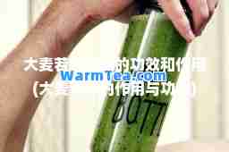 大麦若叶青汁的功效和作用(大麦青汁的作用与功效)