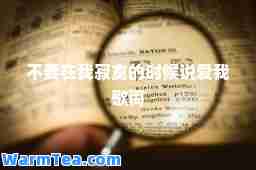 不要在我寂寞的时候说爱我歌词
