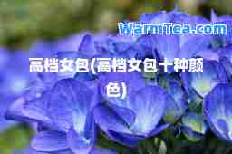 女包(女包十种颜色)