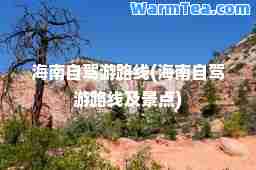 海南自驾游路线(海南自驾游路线及景点)