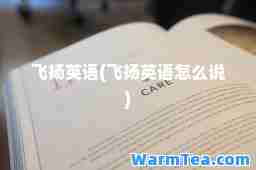 飞扬英语(飞扬英语怎么说)